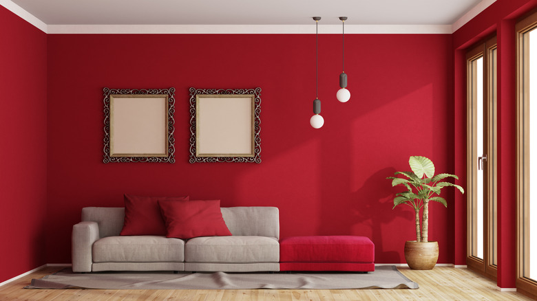 Red wine colored room
