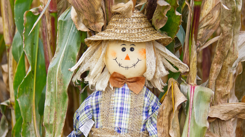 scarecrow wearing blue plaid shirt