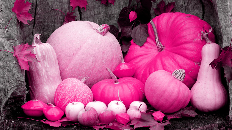 neon pink pumpkins and gourds