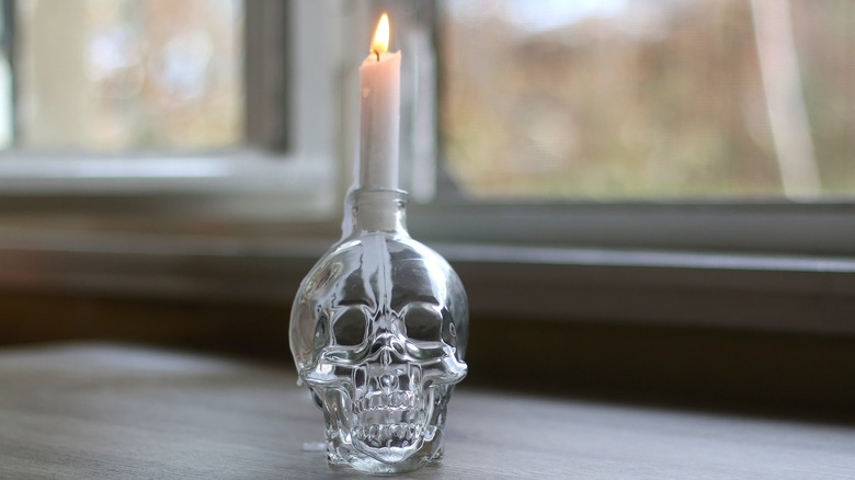 translucent skull candle holder