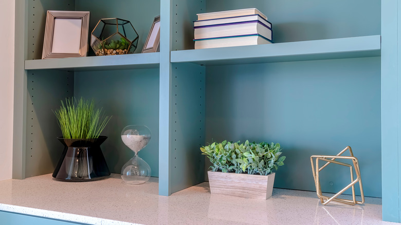 turquoise bookshelf with plants