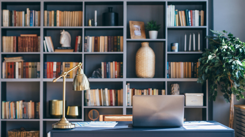 blue bookshelf with books