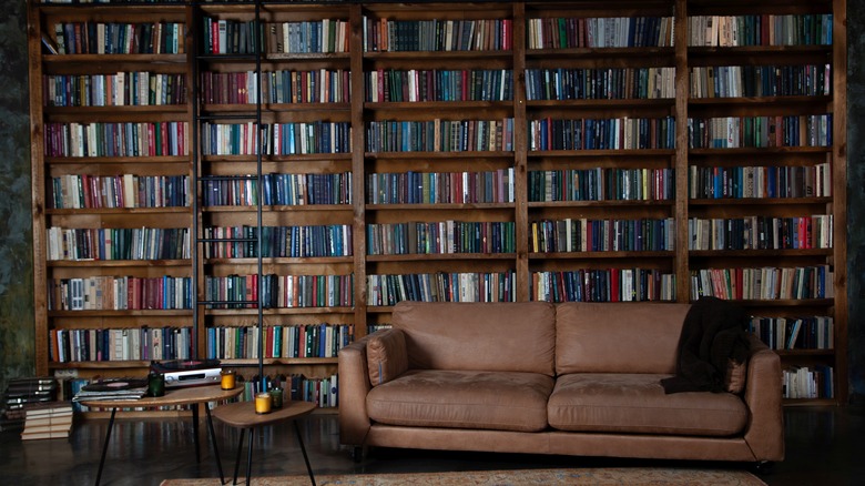 floor-to-ceiling bookshelves