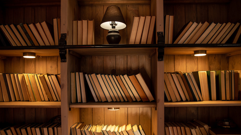 warm lights in bookshelf 