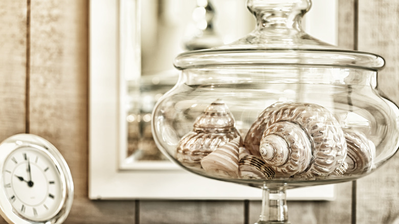shells in a jar