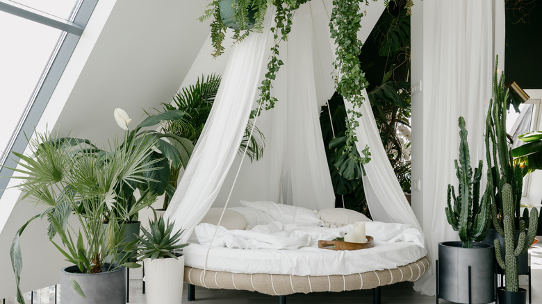 tropical bed 