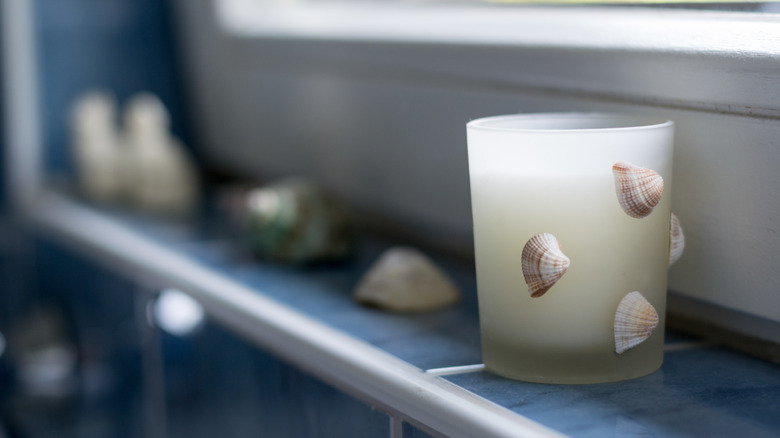 seashells on a shelf