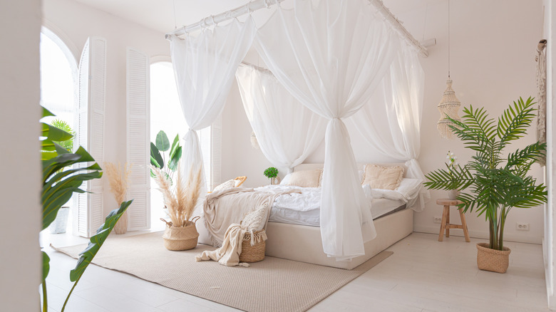 white bedroom with plants