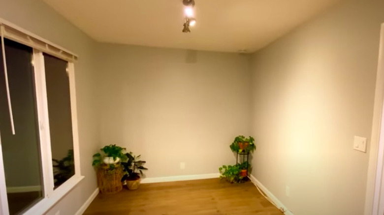 Empty room with plants