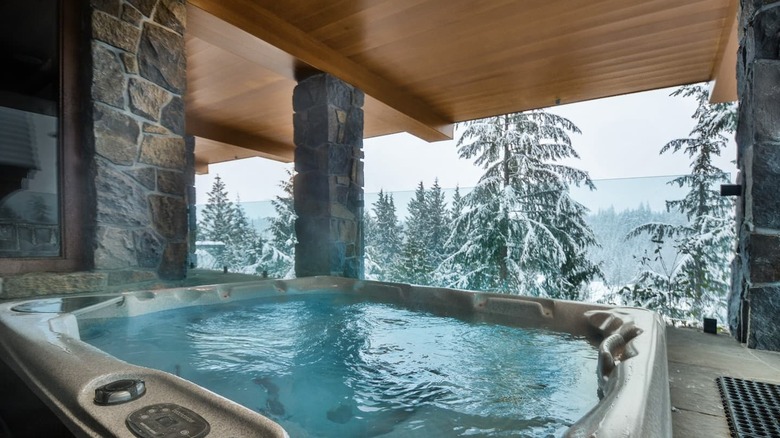 hot tub with snowy tree view