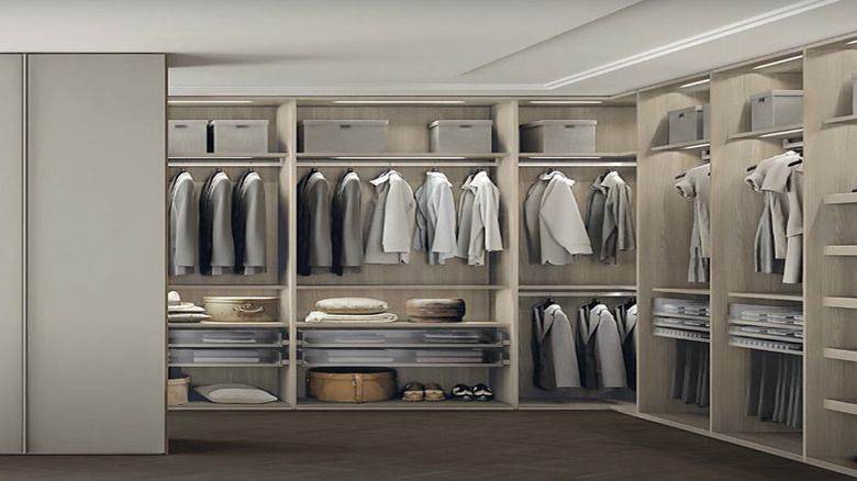 Nothing hidden walk-in closet