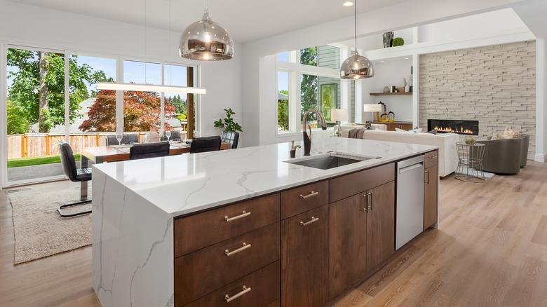 Luxurious modern kitchen