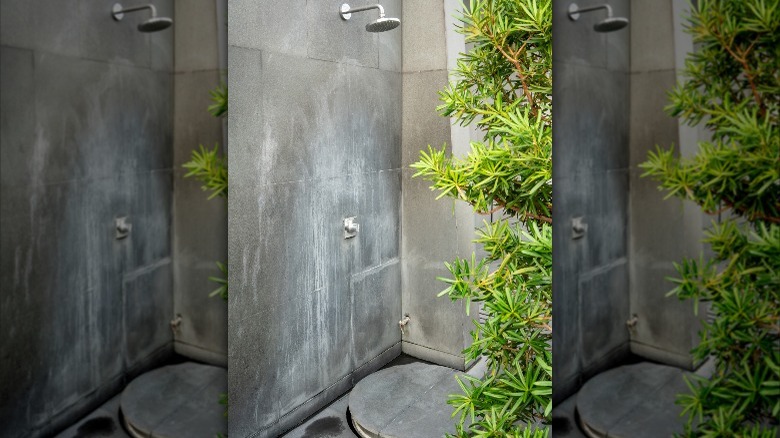 cement outdoor shower with tree