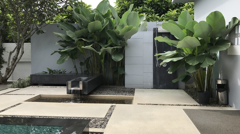 Modern outdoor shower with fountain
