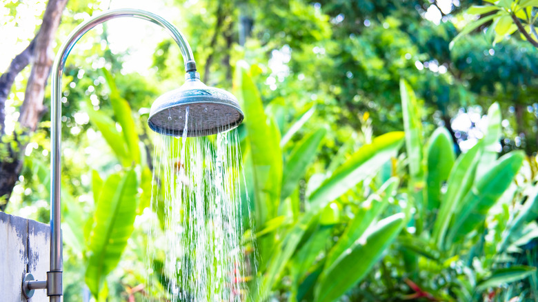 outdoor shower in plants