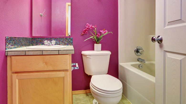 fuchsia wall paint in bathroom