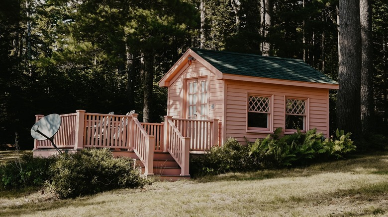 pink cabin in the woods