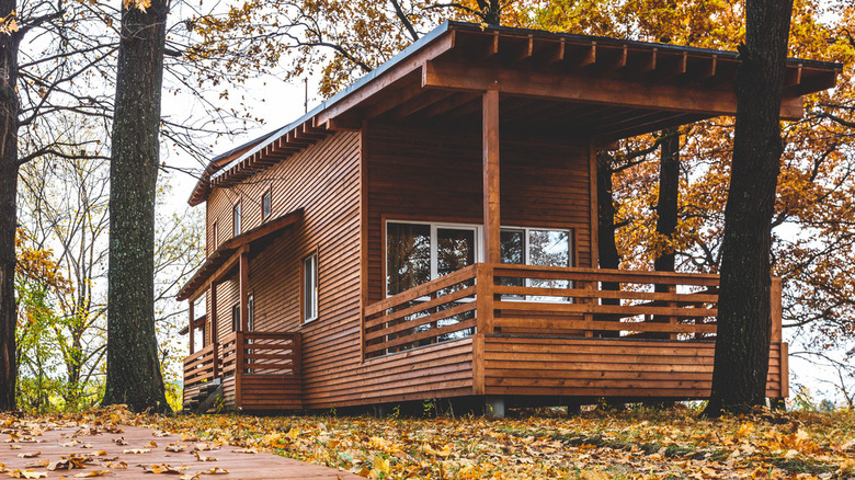 small cabin in autumn leaves