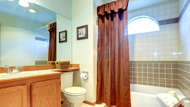 brown shower curtain in bathroom