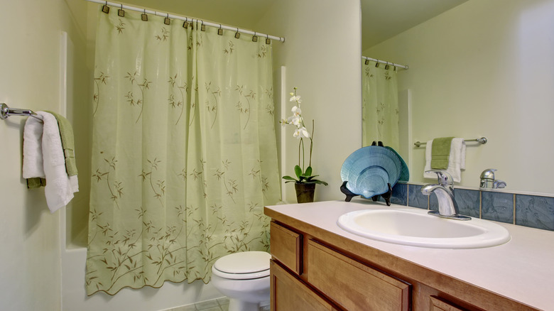green shower curtain in bathroom