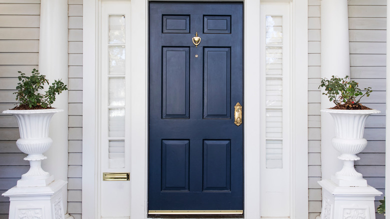 beautiful navy door 