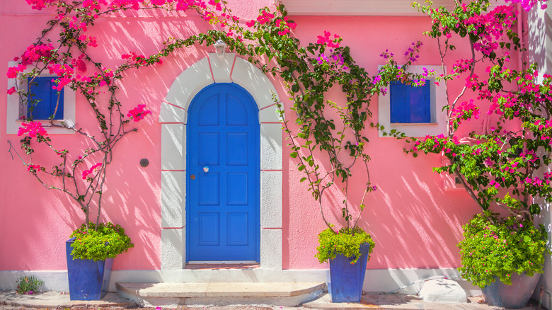 pink house with blue door 