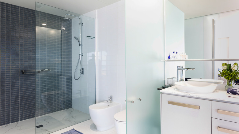 bathroom with glass dividers 