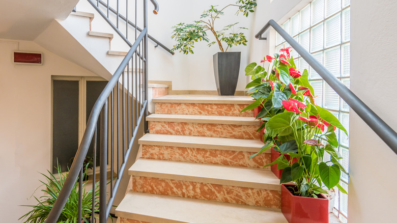 staircase with potted plants