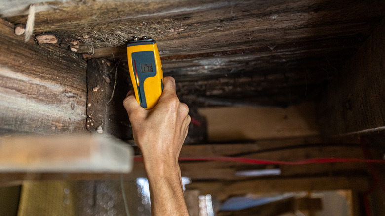 Inspection of wood beams for moisture