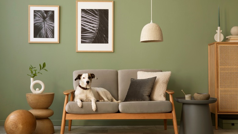 green and gray living room