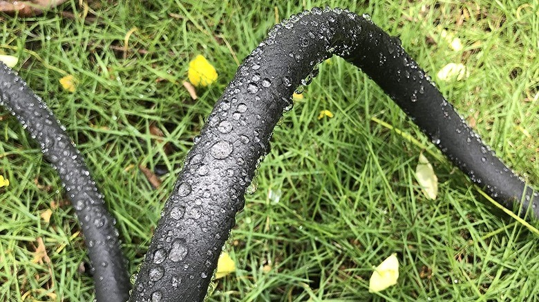 black soaking hose