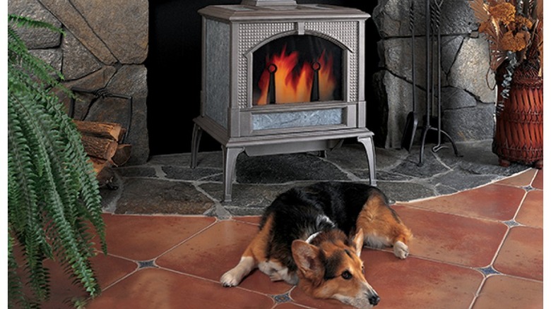 dog lying by soapstone stove