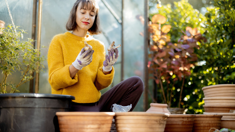 Woman holding two flowering bulbs in her hands in a greenhouse.