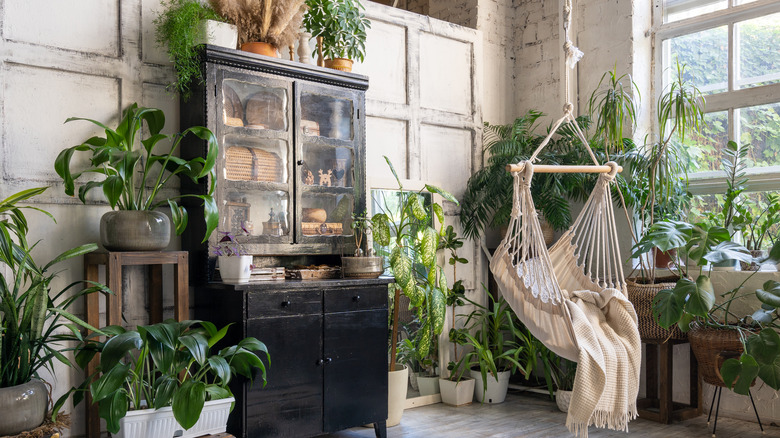 Living room with houseplants