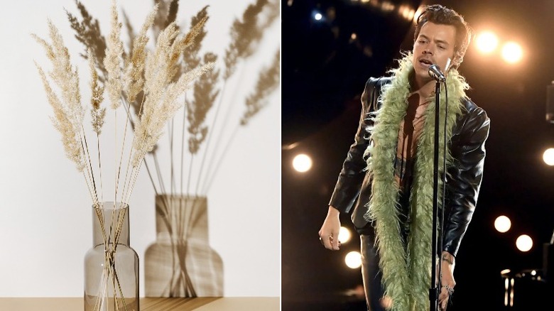 Pampas grass and Harry Styles