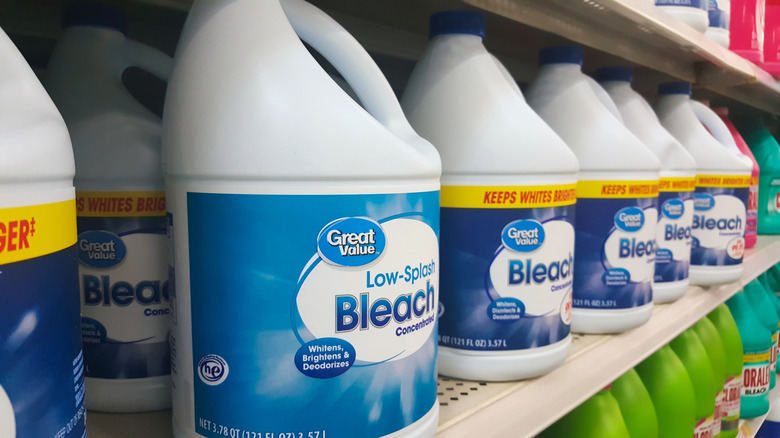 White jugs of bleach on store shelf