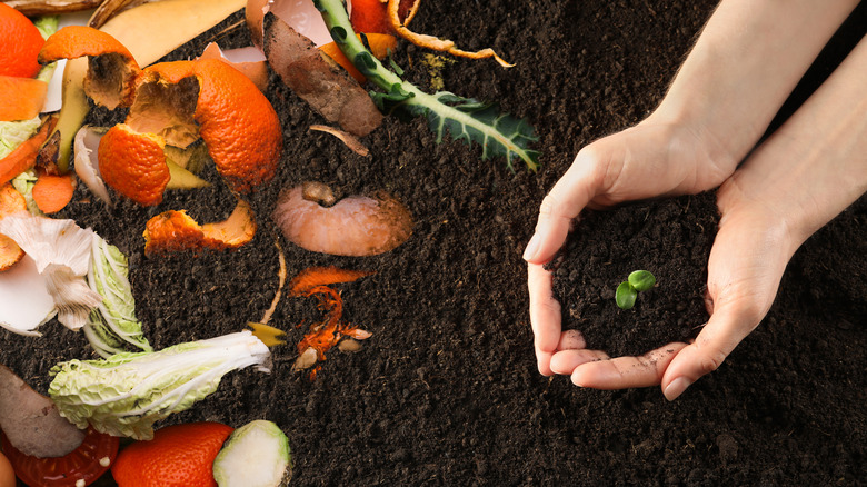 Food waste poured on soil