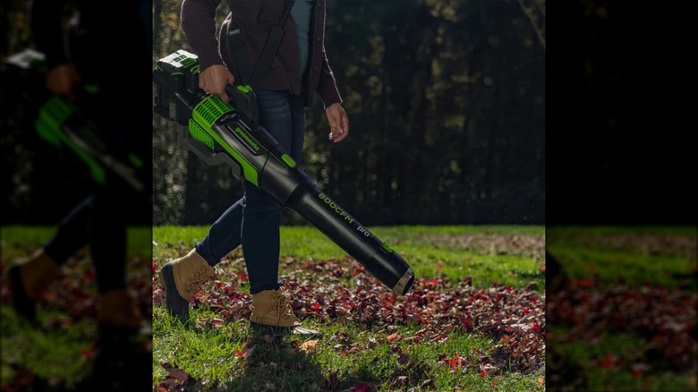 A woman uses a Greenworks leaf blower to remove leaves from grass