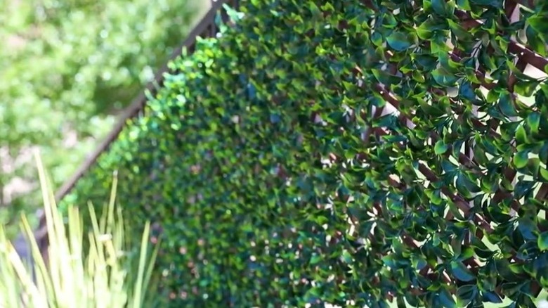 Faux greenery screen