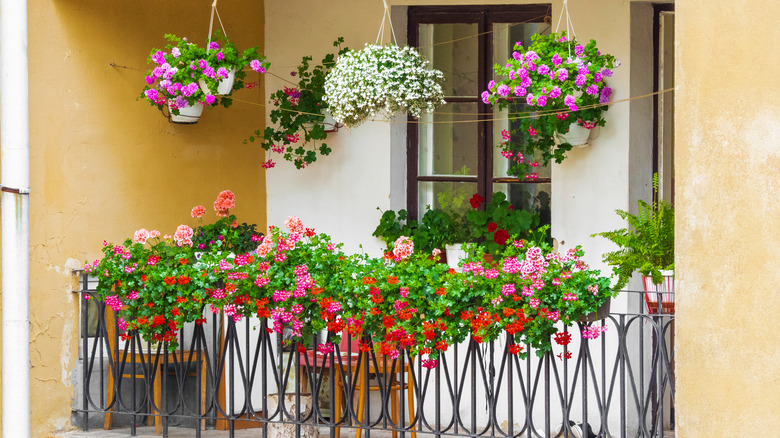 balcony garden