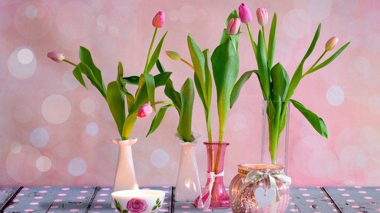 set of vases on a table