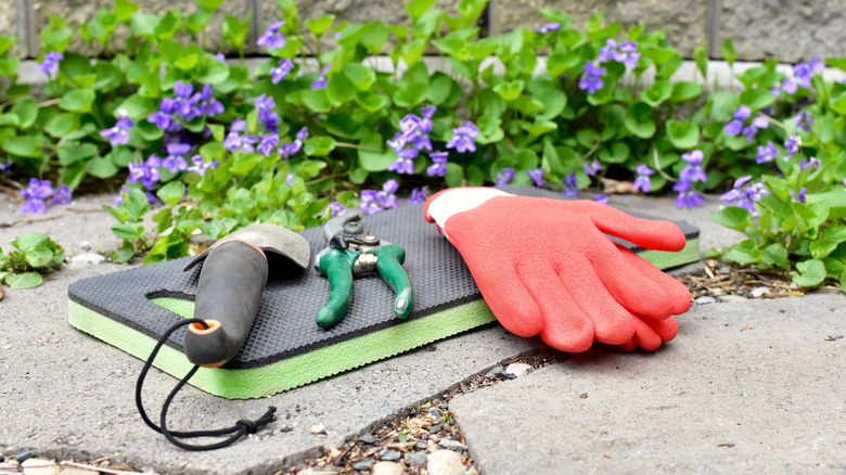 clippers gardening glove and trowel