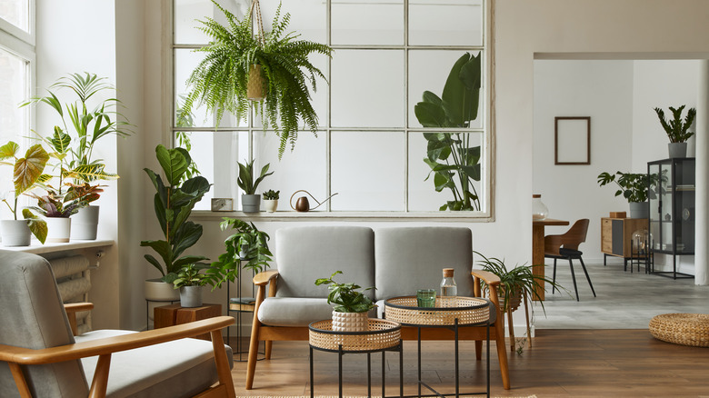 neutral room with many plants