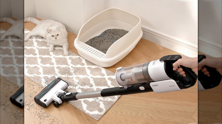 A Levoit cordless vacuum is used to clean up kitty litter