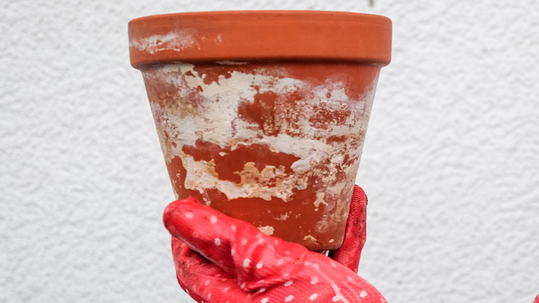 person holding distressed terracotta pot