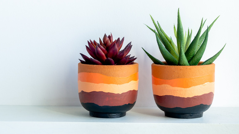 painted pots with succulents