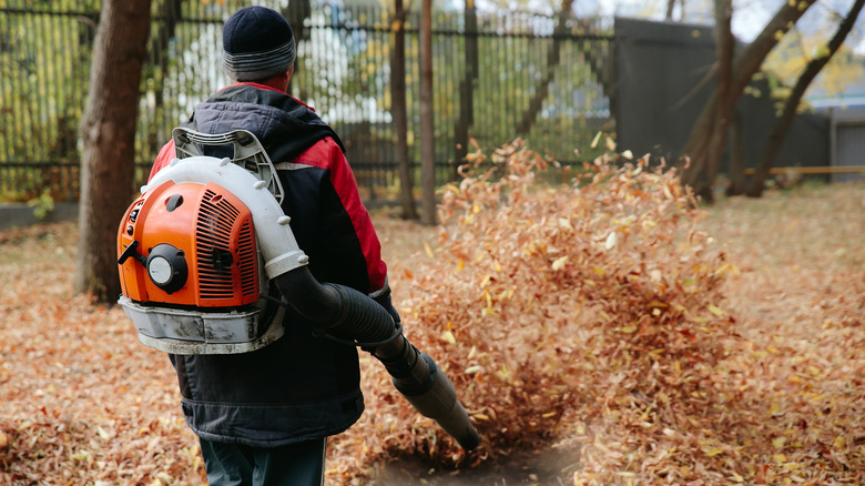 man with backpack leaf blower