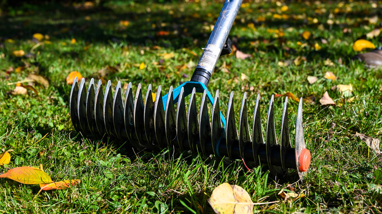 thatch rake for soil