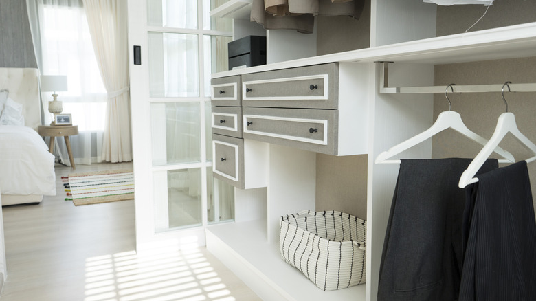 spacious closet and cabinets