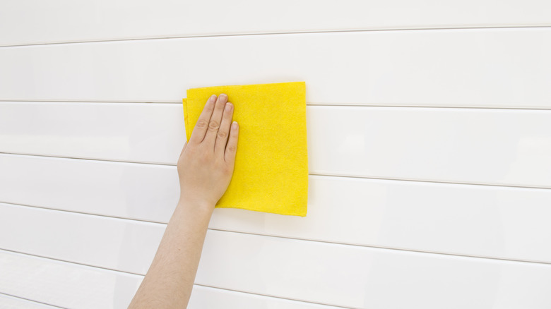 person cleaning garage door